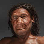 Честный игрок