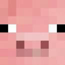 WEHISTE