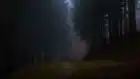AbZoL1x