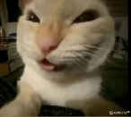 ¿Raky𝖟in✝ ¿Raky𝖟in✝