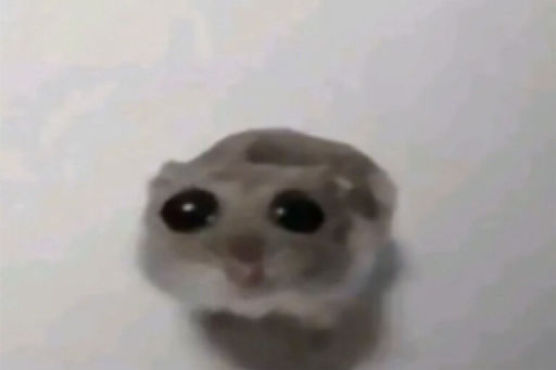 Kosmo Kosmo