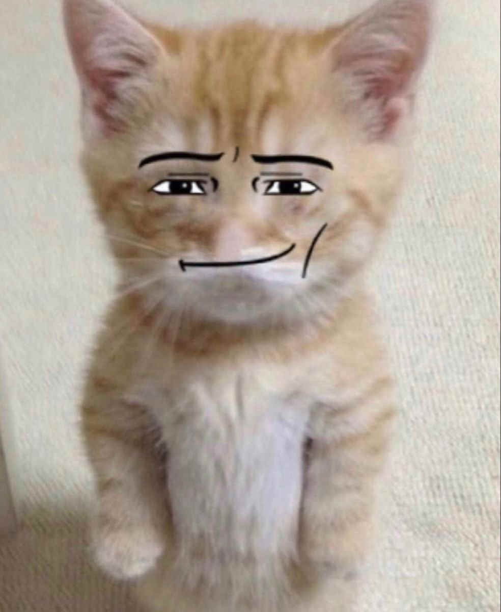 Mortyk