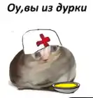 cofeich