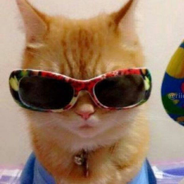 agent 1 agent 1