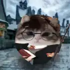 thezeroy2