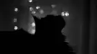 Cat_901
