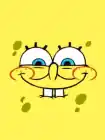 Pisyn