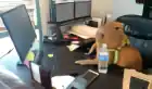 The Cheater