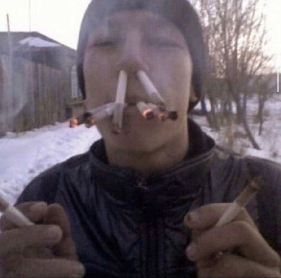 lolcatbestfan lolcatbestfan