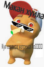 Матрекс питух Матрекс питух