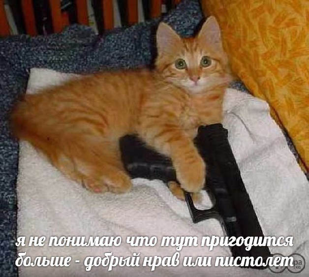 velizorka