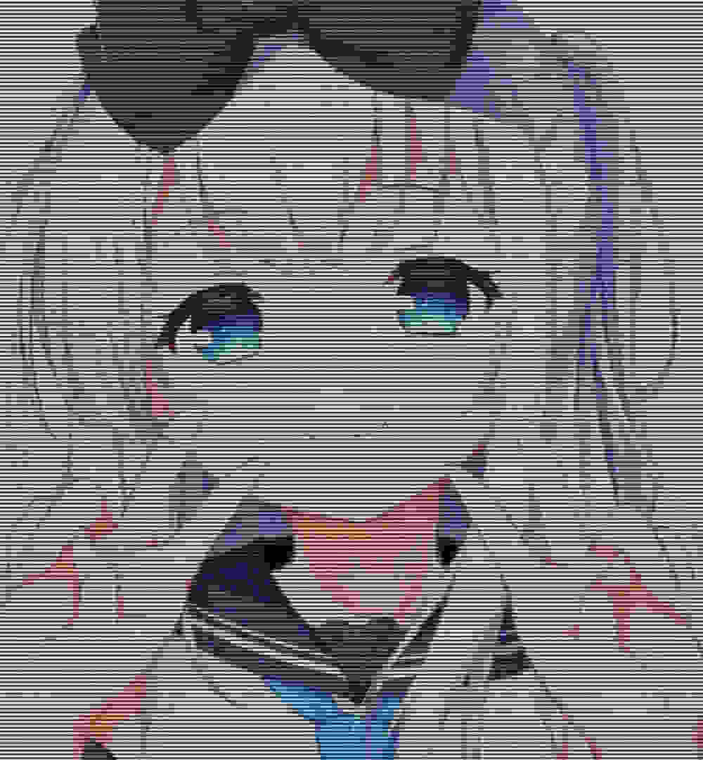 wtfqqr wtfqqr