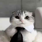 мелстройность