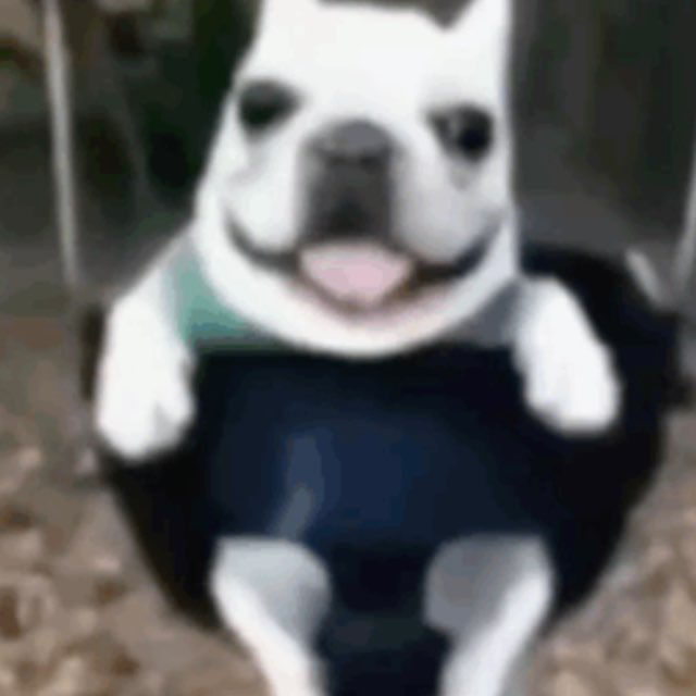 Sm0kkrr Sm0kkrr