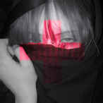 миротворец