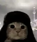 d3m3nt3d