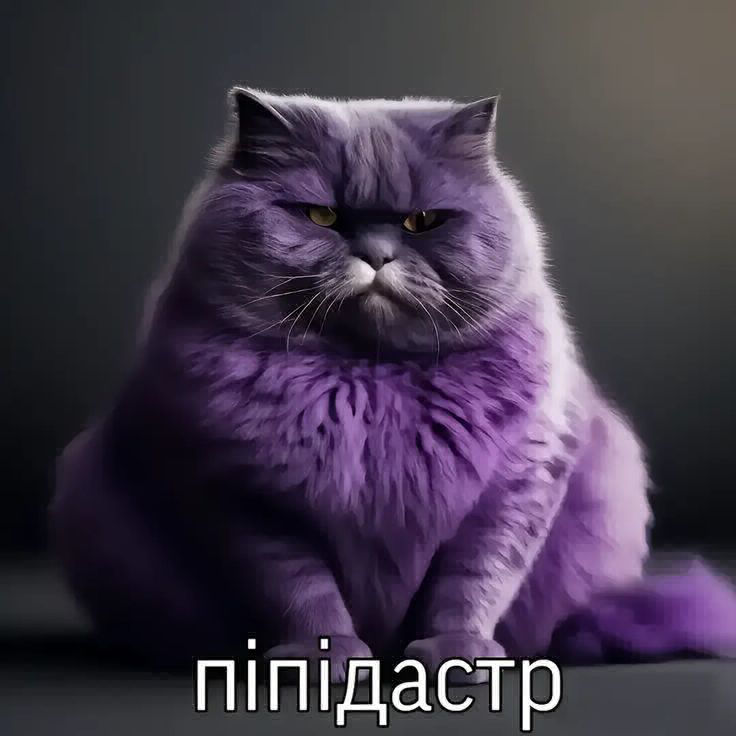 пIпIдамтер