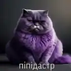 пIпIдамтер