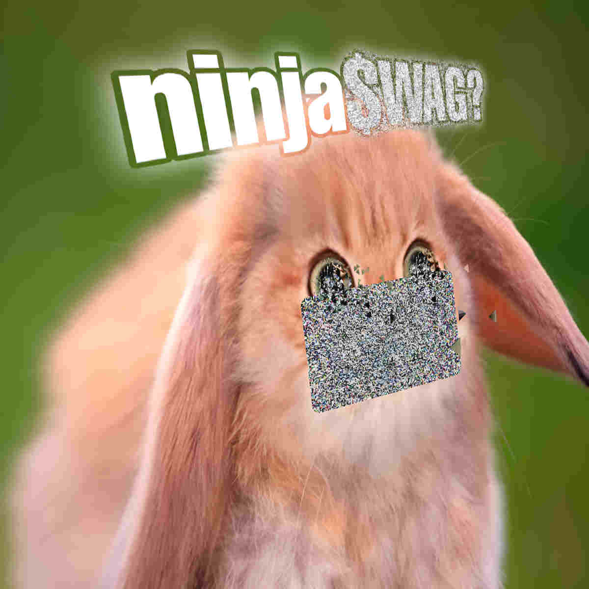 ninjaSWAG?