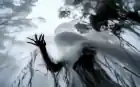 fortuna