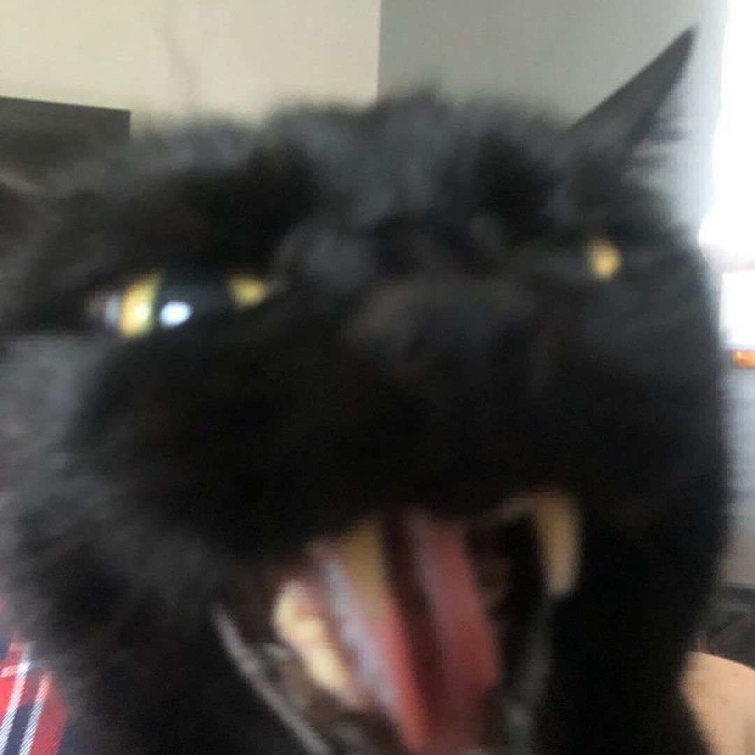 fadedd fadedd