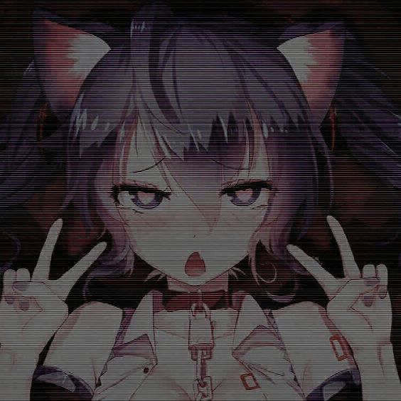 DbIM