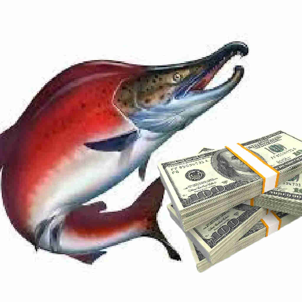 SalmonPaste dev SalmonPaste dev