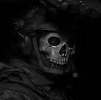shadowMimicry