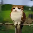 Крутоi