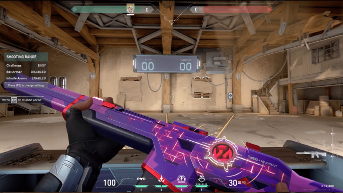 BlackChanger - Бесплатный счкинчейнджер на Валорант (Undetected)