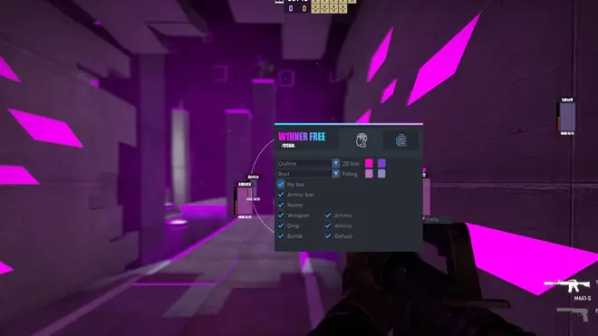 Бесплатный W1nner.pw чит для Counter-Strike: Global Offensive